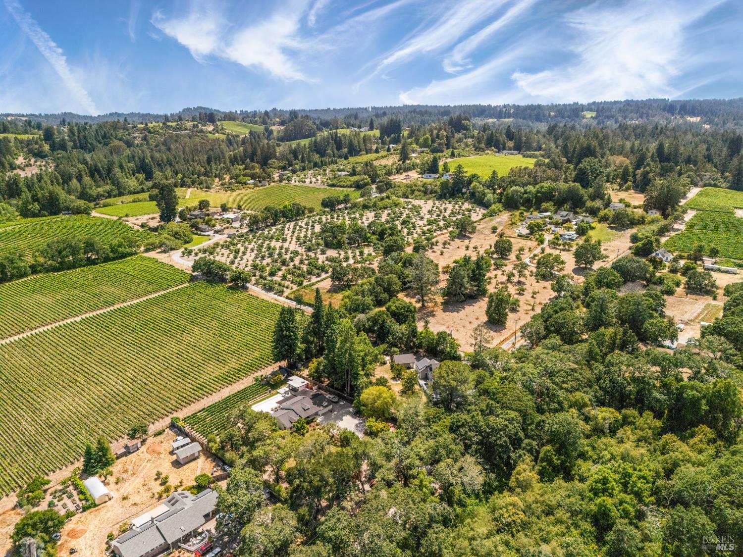 Detail Gallery Image 73 of 78 For 9705 Oconnell Rd, Sebastopol,  CA 95472 - 3 Beds | 2/1 Baths