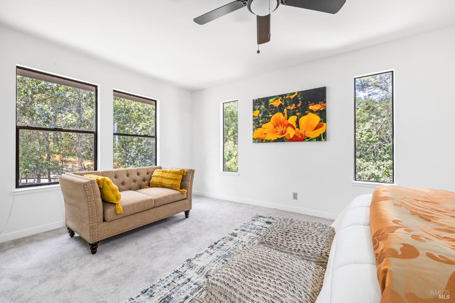 Detail Gallery Image 40 of 78 For 9705 Oconnell Rd, Sebastopol,  CA 95472 - 3 Beds | 2/1 Baths