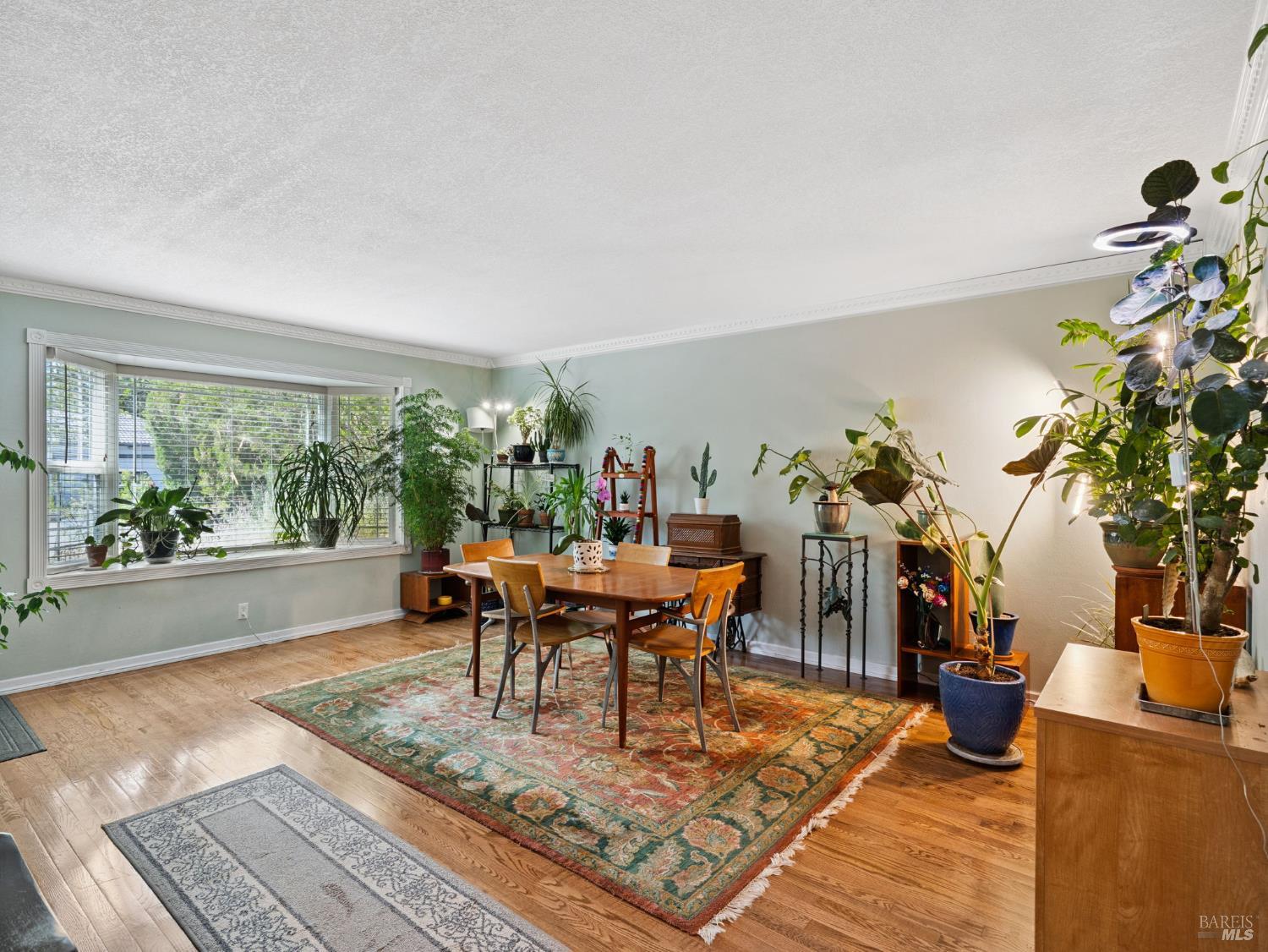 Detail Gallery Image 8 of 47 For 580 W 2nd St, Cloverdale,  CA 95425 - 3 Beds | 2 Baths