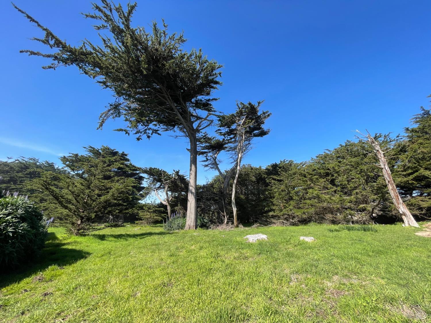 Detail Gallery Image 10 of 31 For 265 Broad Reach Unkn, The Sea Ranch,  CA 95497 - – Beds | – Baths