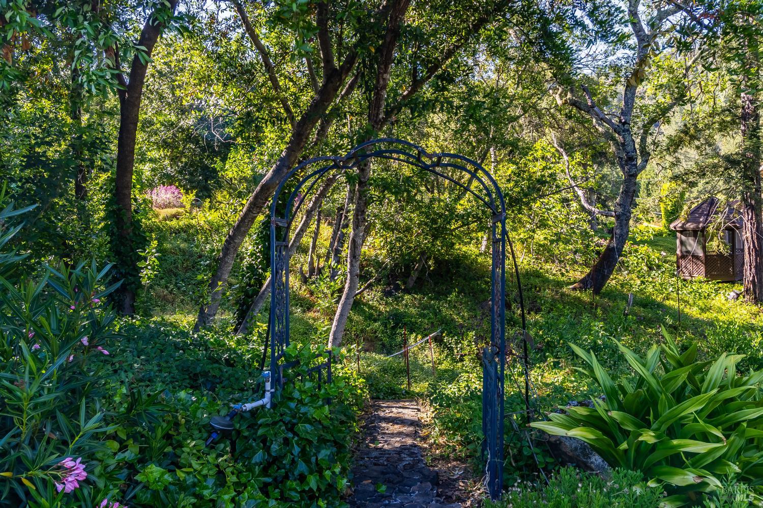 Detail Gallery Image 34 of 51 For 2080 Mount Veeder Rd, Napa,  CA 94558 - 3 Beds | 2 Baths