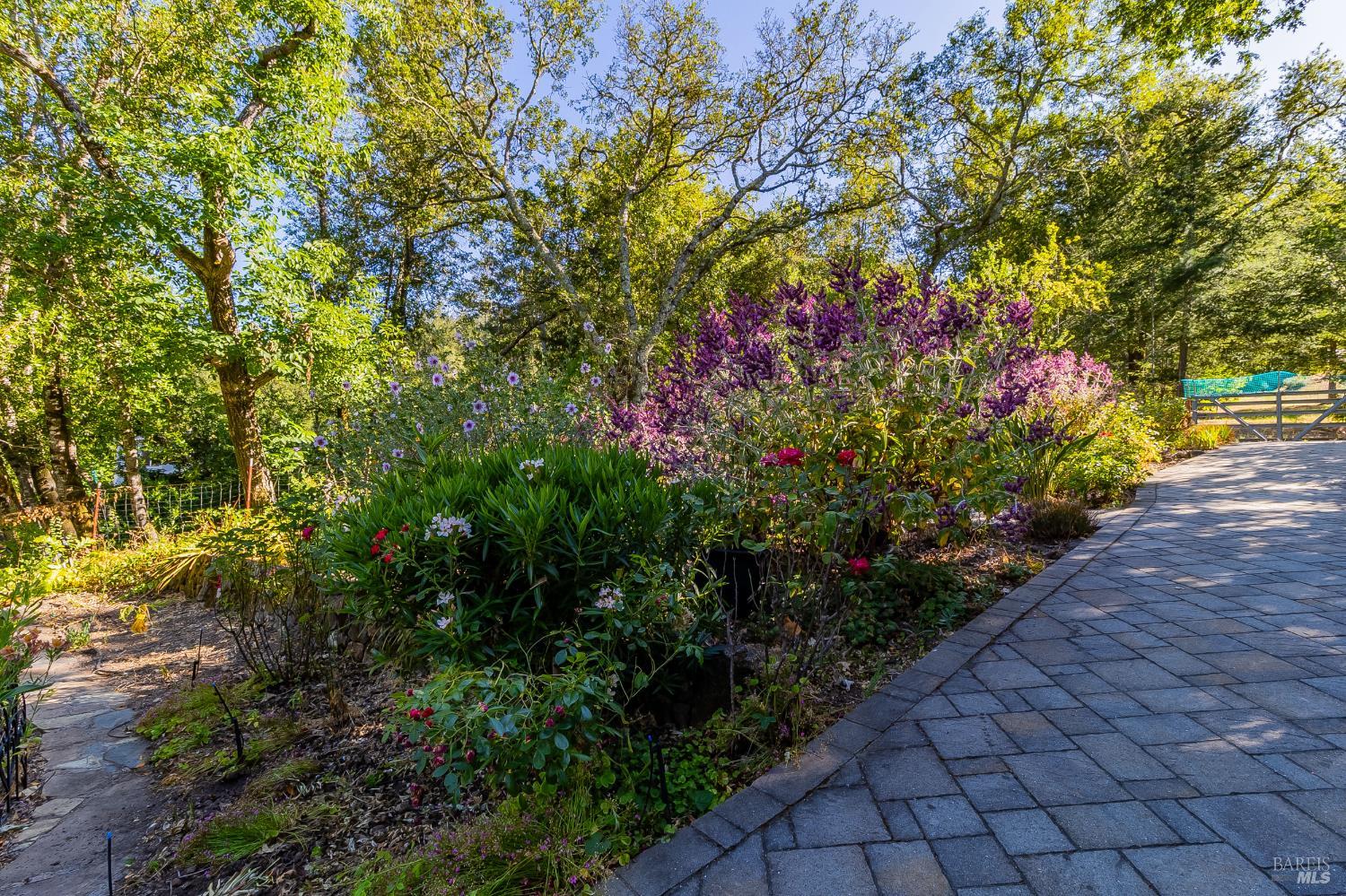 Detail Gallery Image 39 of 51 For 2080 Mount Veeder Rd, Napa,  CA 94558 - 3 Beds | 2 Baths