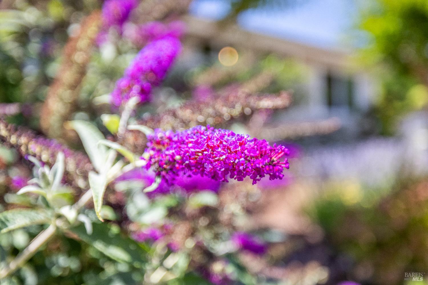 Detail Gallery Image 36 of 42 For 504 Deerfield Pl, Santa Rosa,  CA 95409 - 2 Beds | 2 Baths