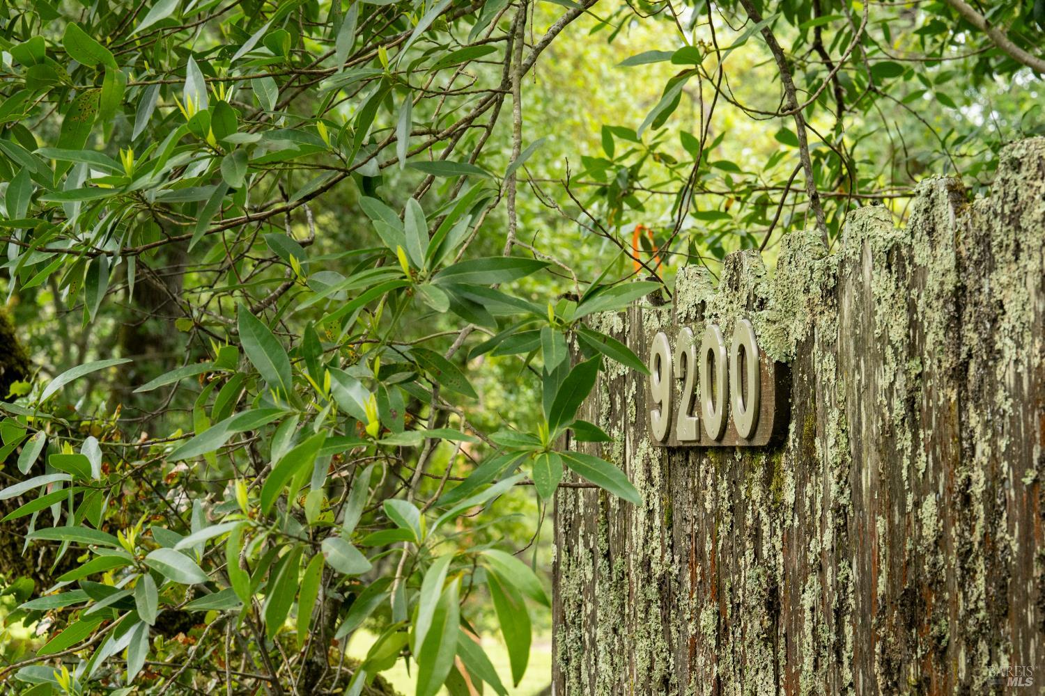 Detail Gallery Image 64 of 64 For 9200 Bennett Valley Rd, Glen Ellen,  CA 95442 - 3 Beds | 2/1 Baths