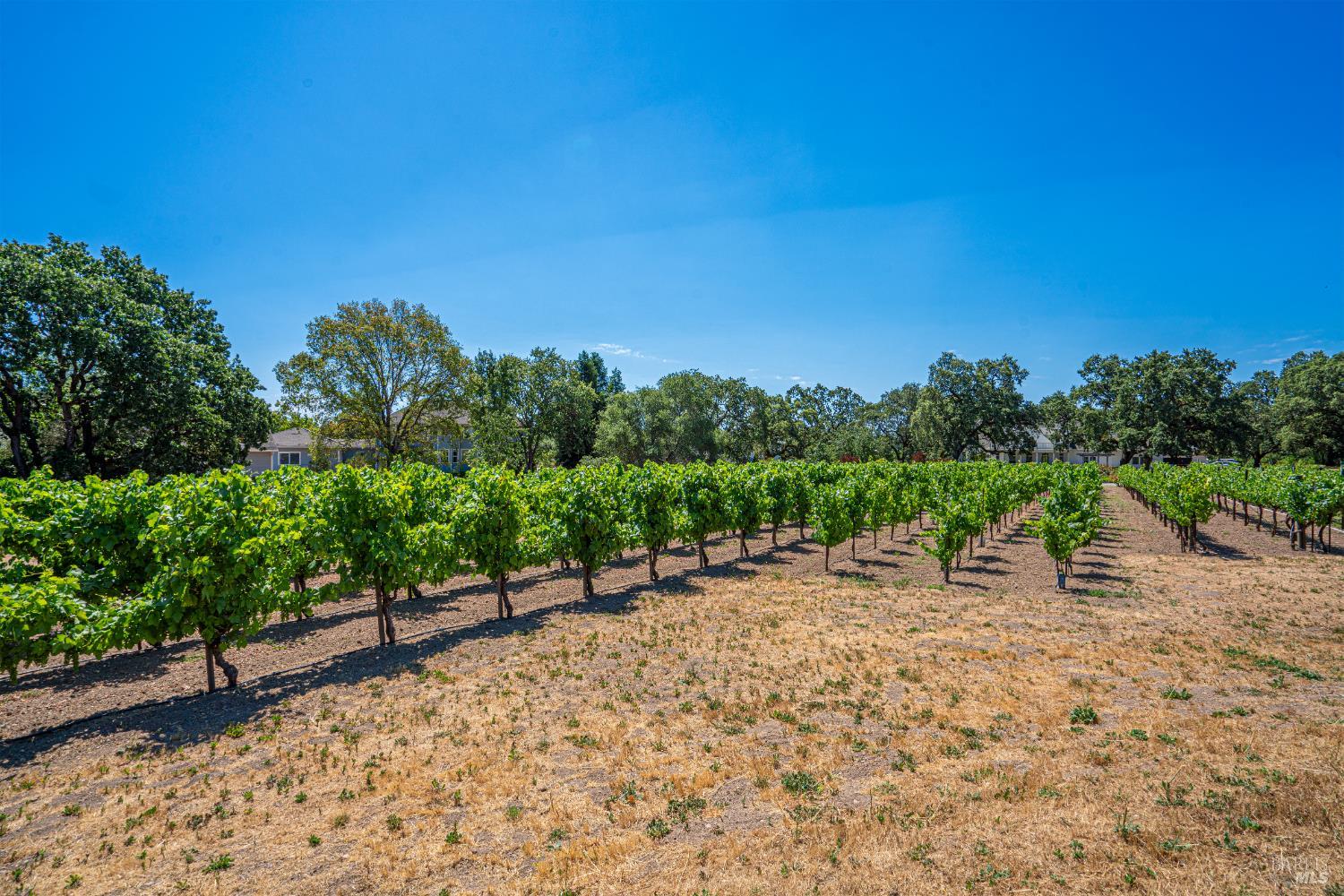Detail Gallery Image 96 of 99 For 241 Royal Ct, Santa Rosa,  CA 95401 - 4 Beds | 4 Baths