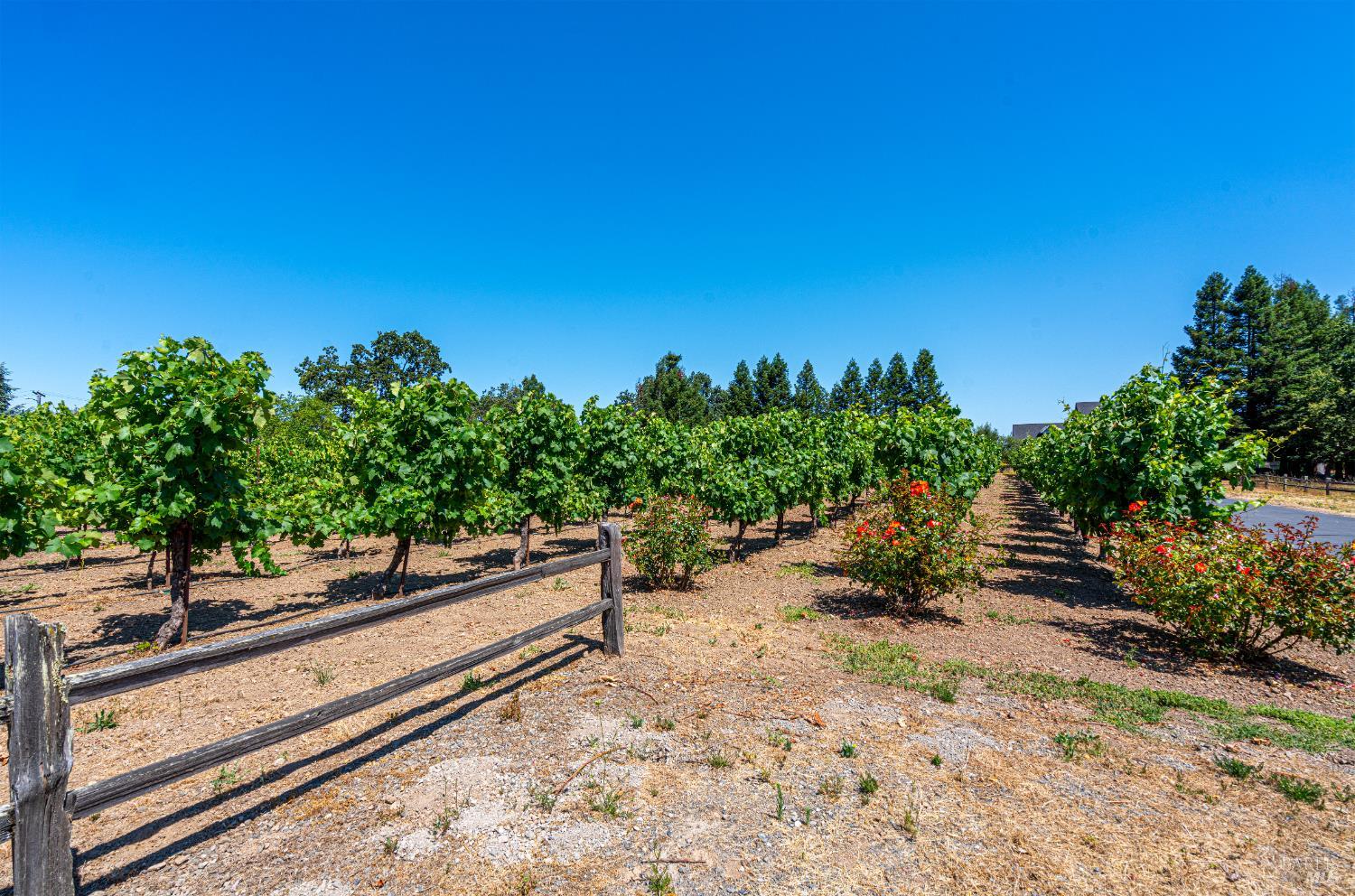 Detail Gallery Image 94 of 99 For 241 Royal Ct, Santa Rosa,  CA 95401 - 4 Beds | 4 Baths