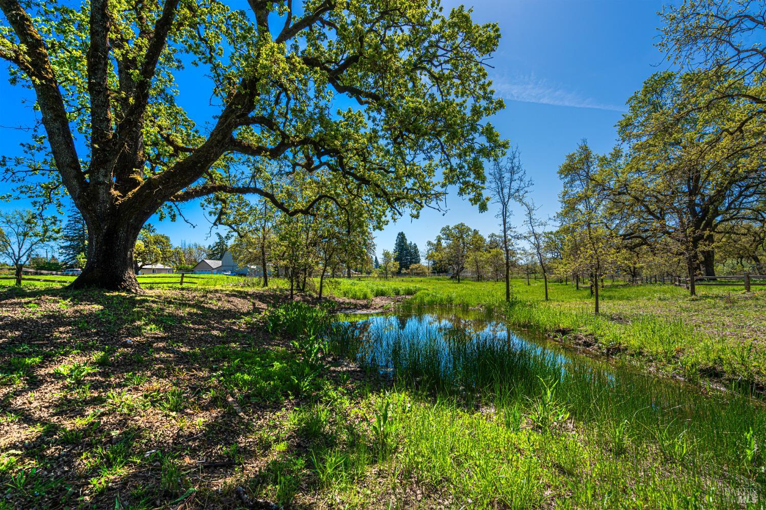 Detail Gallery Image 86 of 99 For 241 Royal Ct, Santa Rosa,  CA 95401 - 4 Beds | 4 Baths