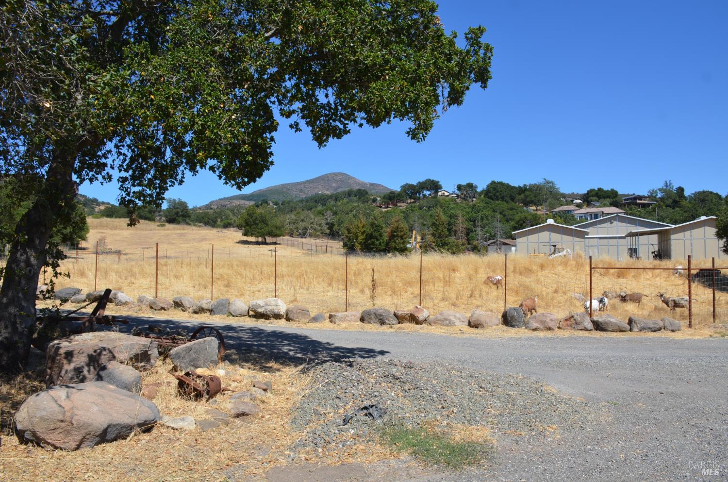Detail Gallery Image 12 of 37 For 2186 Monticello Rd, Napa,  CA 94558 - – Beds | – Baths