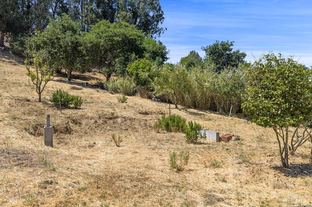 Detail Gallery Image 11 of 12 For 449 Purrington Rd, Petaluma,  CA 94952 - – Beds | – Baths