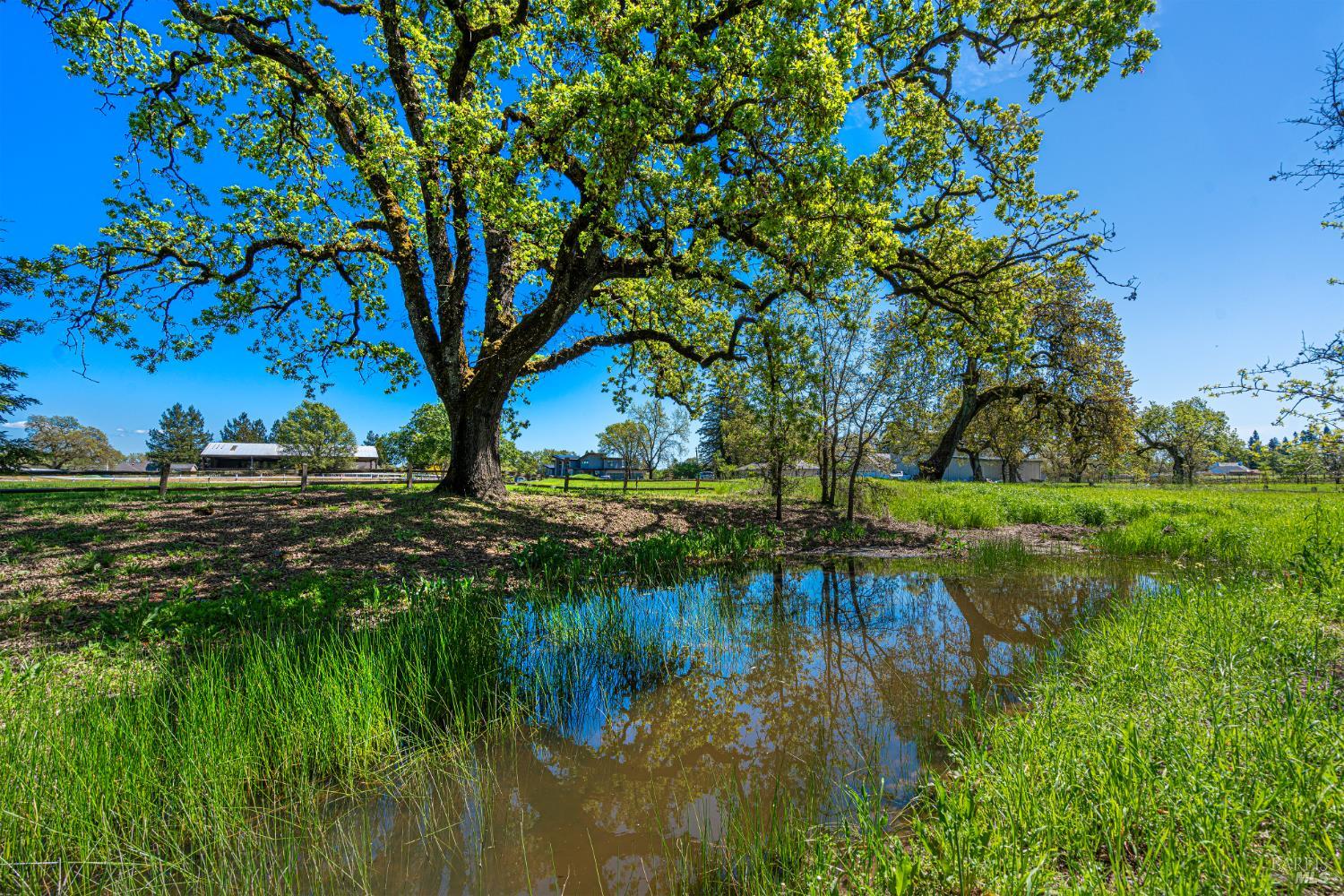 Detail Gallery Image 87 of 99 For 241 Royal Ct, Santa Rosa,  CA 95401 - 4 Beds | 4 Baths