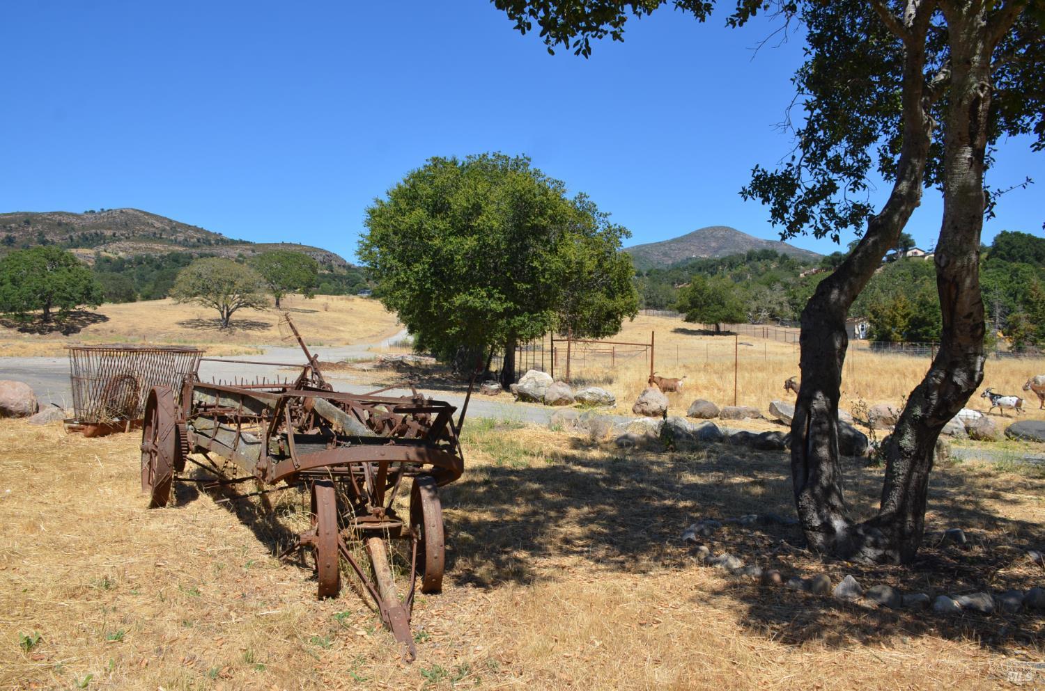 Detail Gallery Image 19 of 37 For 2186 Monticello Rd, Napa,  CA 94558 - – Beds | – Baths