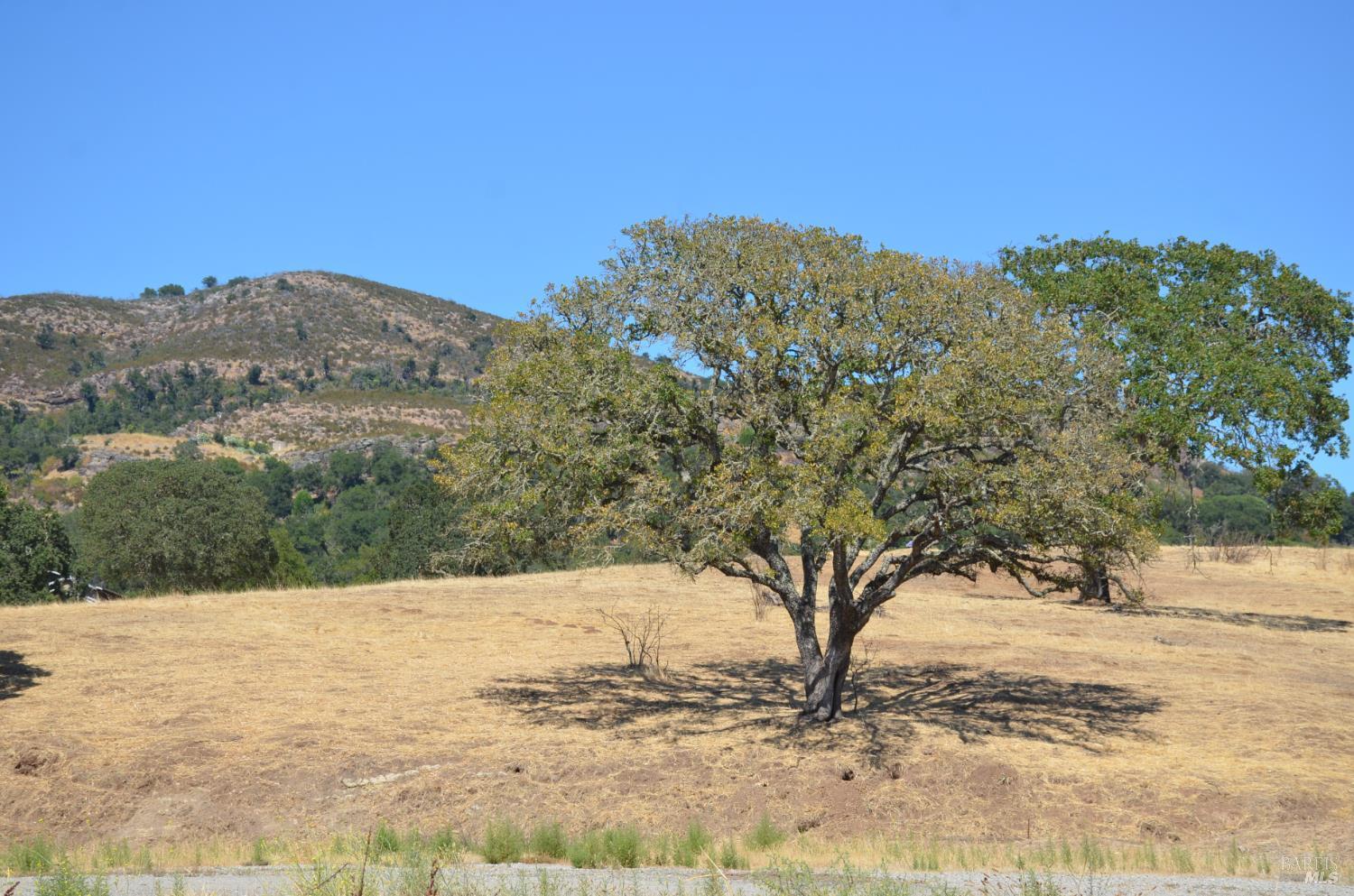 Detail Gallery Image 13 of 37 For 2186 Monticello Rd, Napa,  CA 94558 - – Beds | – Baths
