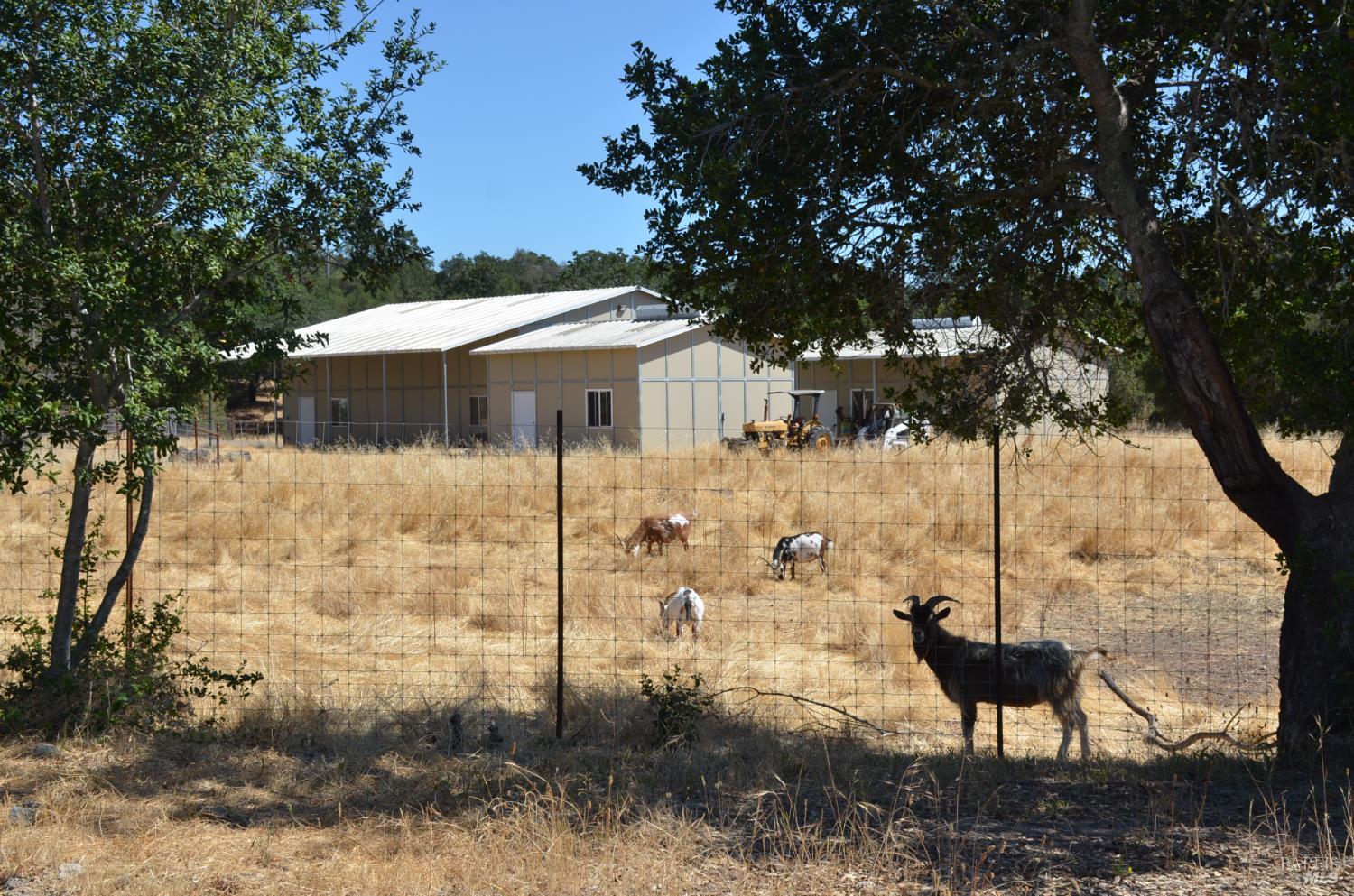 Detail Gallery Image 29 of 37 For 2186 Monticello Rd, Napa,  CA 94558 - – Beds | – Baths