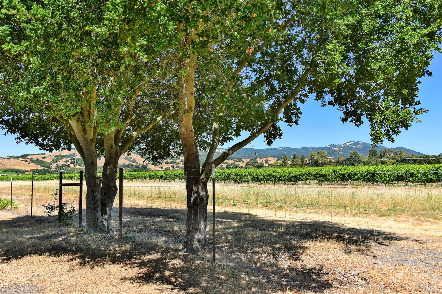 Detail Gallery Image 9 of 22 For 79 Temelec Cir, Sonoma,  CA 95476 - 2 Beds | 2 Baths