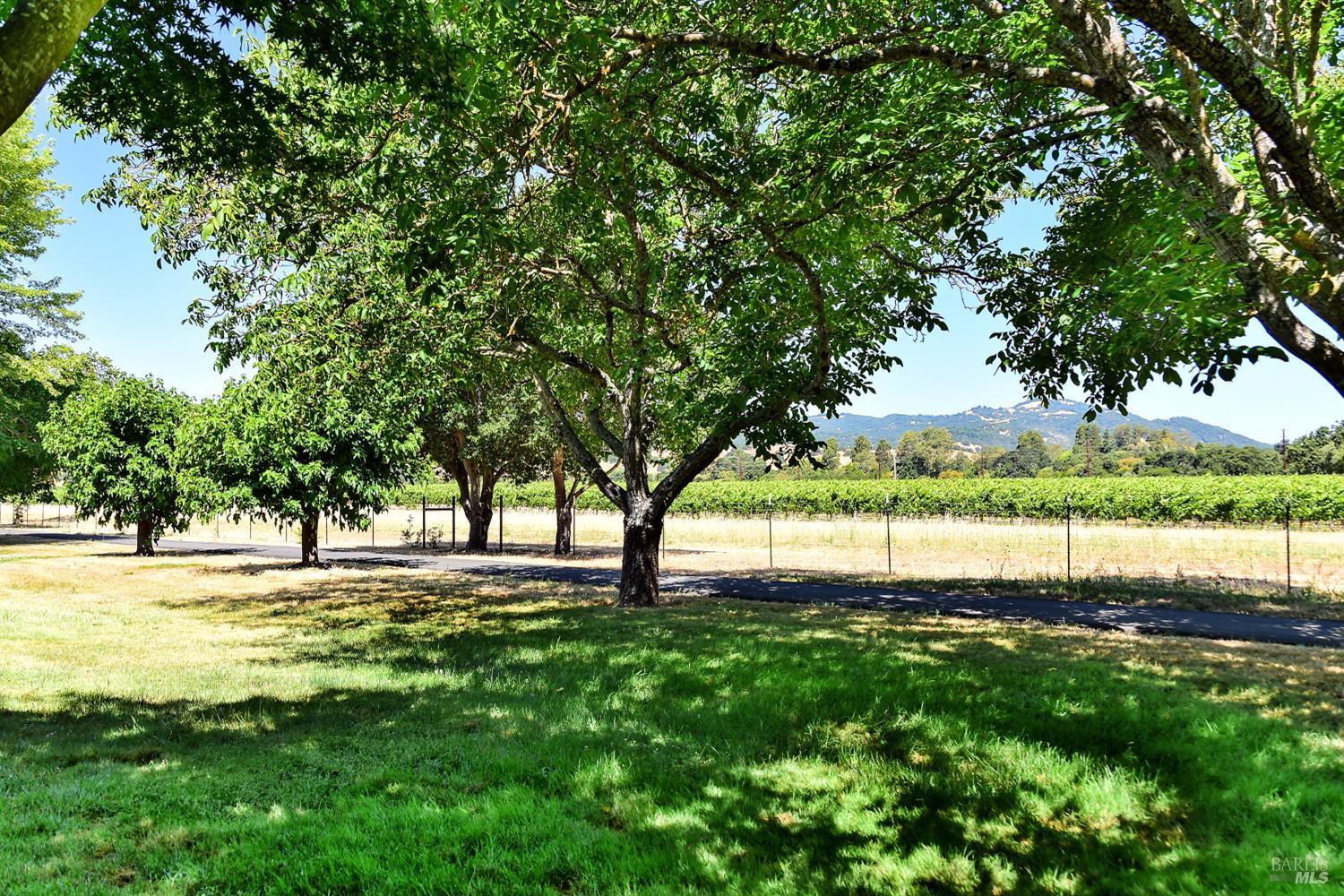Detail Gallery Image 10 of 22 For 79 Temelec Cir, Sonoma,  CA 95476 - 2 Beds | 2 Baths