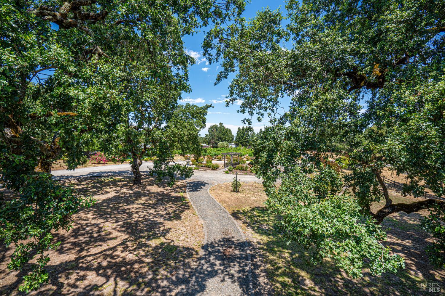 Detail Gallery Image 64 of 99 For 241 Royal Ct, Santa Rosa,  CA 95401 - 4 Beds | 4 Baths