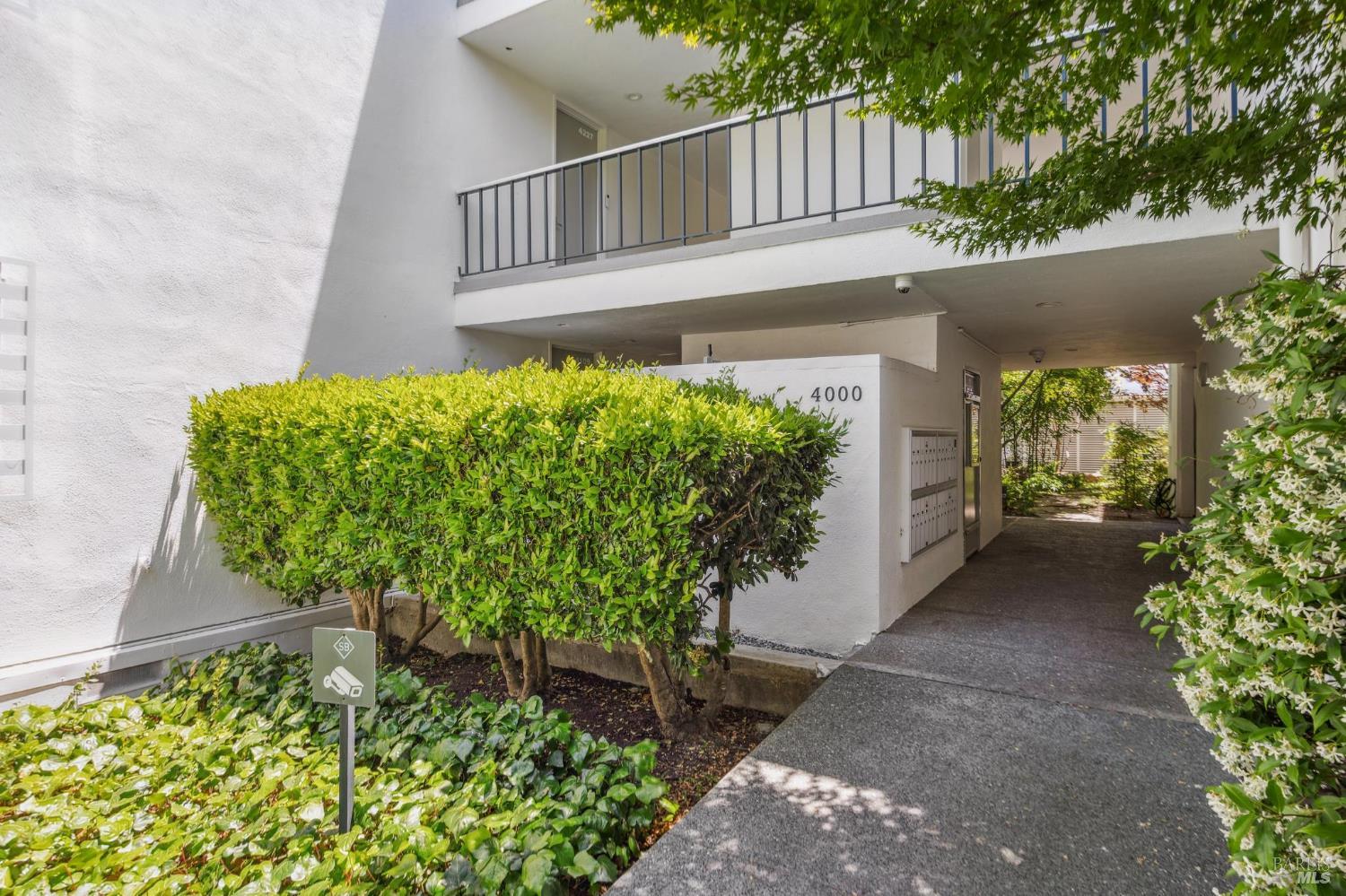 Detail Gallery Image 7 of 20 For 4331 Shelter Bay Ave, Mill Valley,  CA 94941 - 2 Beds | 2 Baths