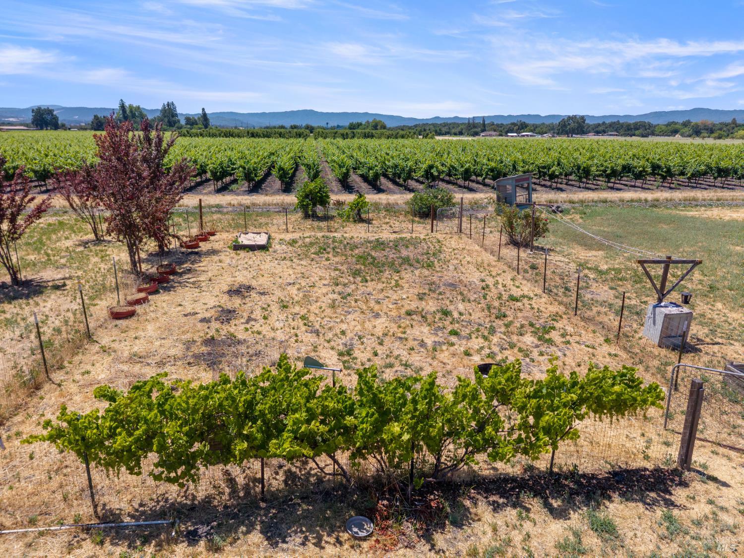 Detail Gallery Image 62 of 75 For 3155 Soda Bay Rd, Lakeport,  CA 95453 - 3 Beds | 2 Baths