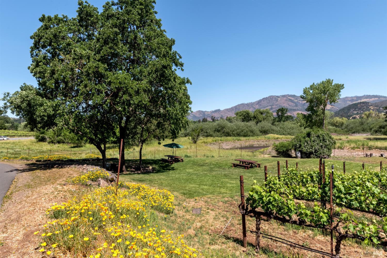 Detail Gallery Image 8 of 26 For 10200 Ca-12 Hwy, Kenwood,  CA 95452 - – Beds | – Baths