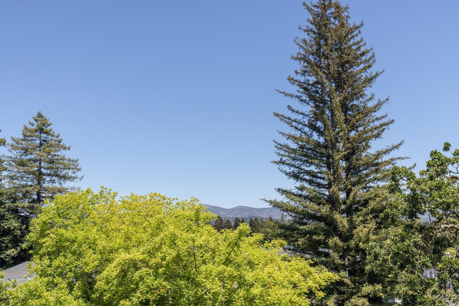 Detail Gallery Image 47 of 57 For 2740 Jacqueline Ct, Napa,  CA 94558 - 3 Beds | 2/1 Baths
