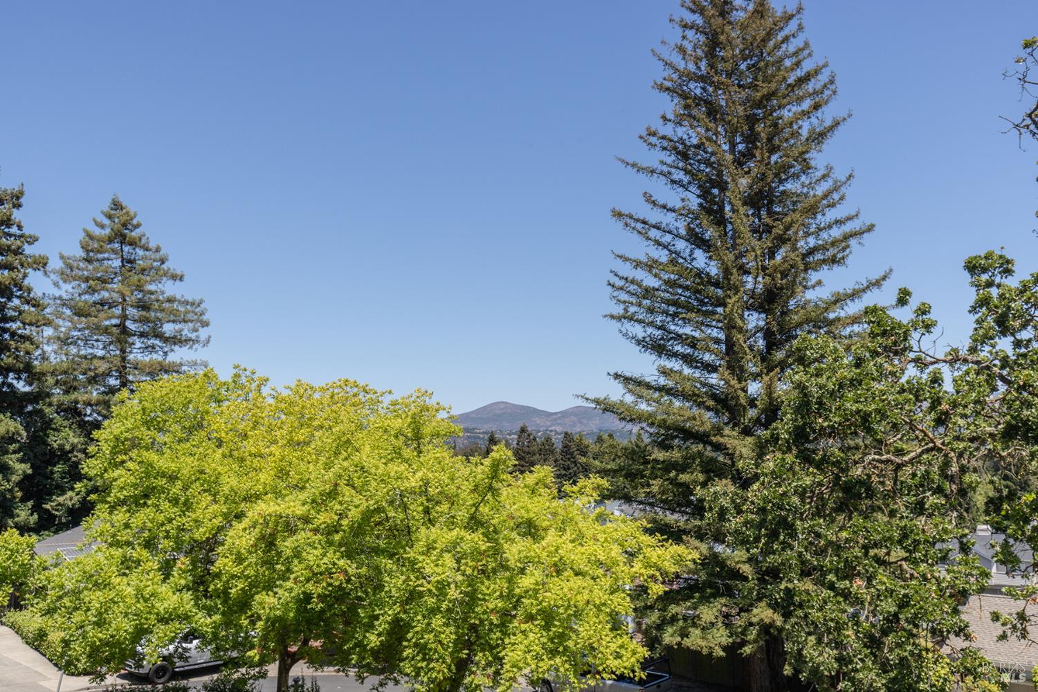 Detail Gallery Image 48 of 57 For 2740 Jacqueline Ct, Napa,  CA 94558 - 3 Beds | 2/1 Baths