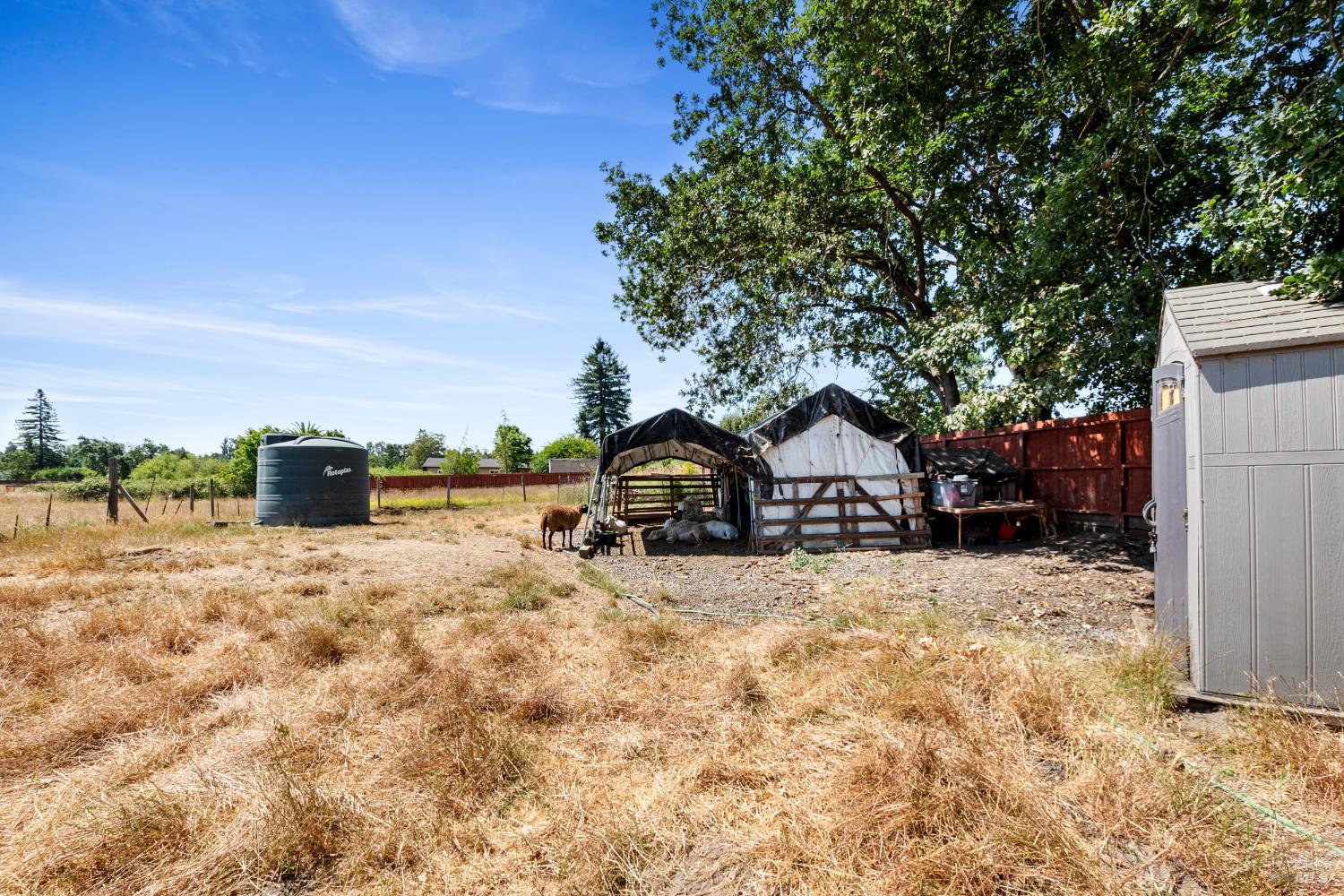 Detail Gallery Image 6 of 23 For 1853 Cooper Rd, Sebastopol,  CA 95472 - – Beds | – Baths