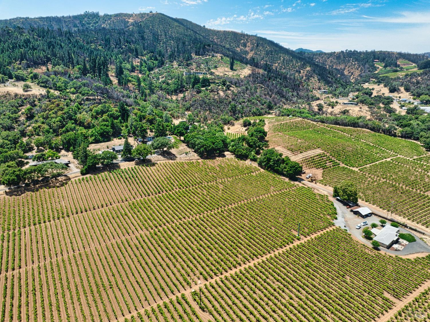Detail Gallery Image 12 of 20 For 7874 West Dry Creek Rd, Healdsburg,  CA 95448 - – Beds | – Baths