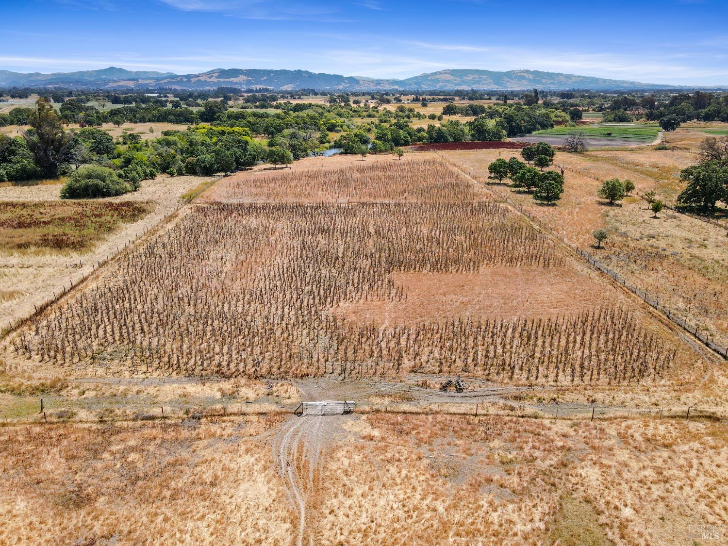 Detail Gallery Image 21 of 23 For 1853 Cooper Rd, Sebastopol,  CA 95472 - – Beds | – Baths