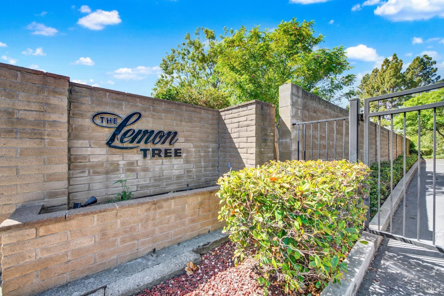Detail Gallery Image 53 of 55 For 19 Lemon Tree Cir, Vacaville,  CA 95687 - 2 Beds | 2 Baths