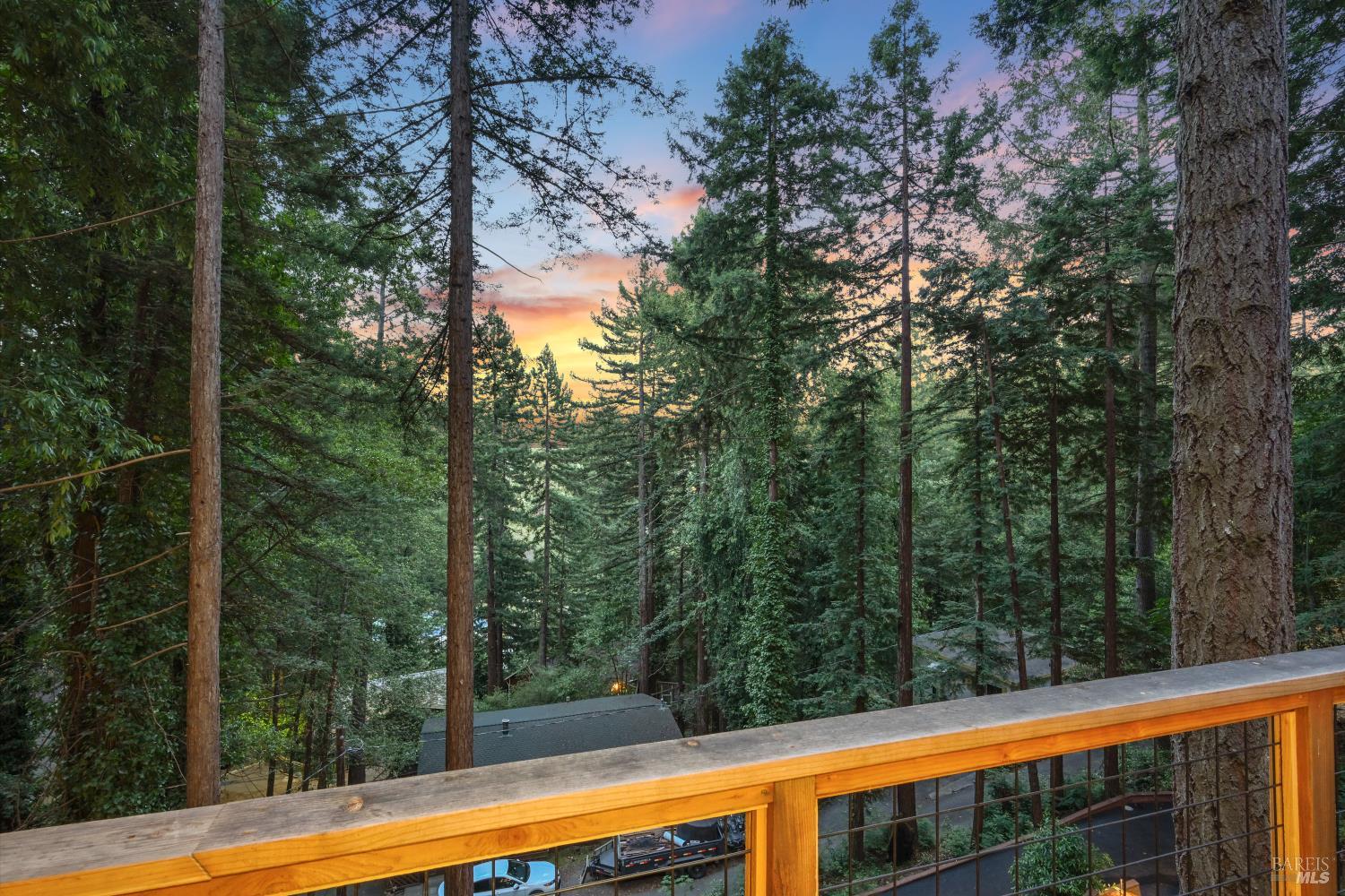 Detail Gallery Image 53 of 67 For 14150 Fern Rd, Guerneville,  CA 95446 - 3 Beds | 2/1 Baths