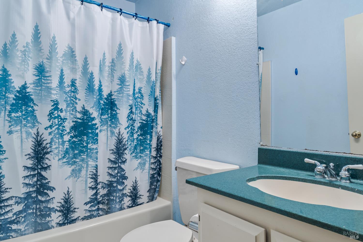 Detail Gallery Image 13 of 15 For 348 Almond Way, Healdsburg,  CA 95448 - 3 Beds | 2 Baths
