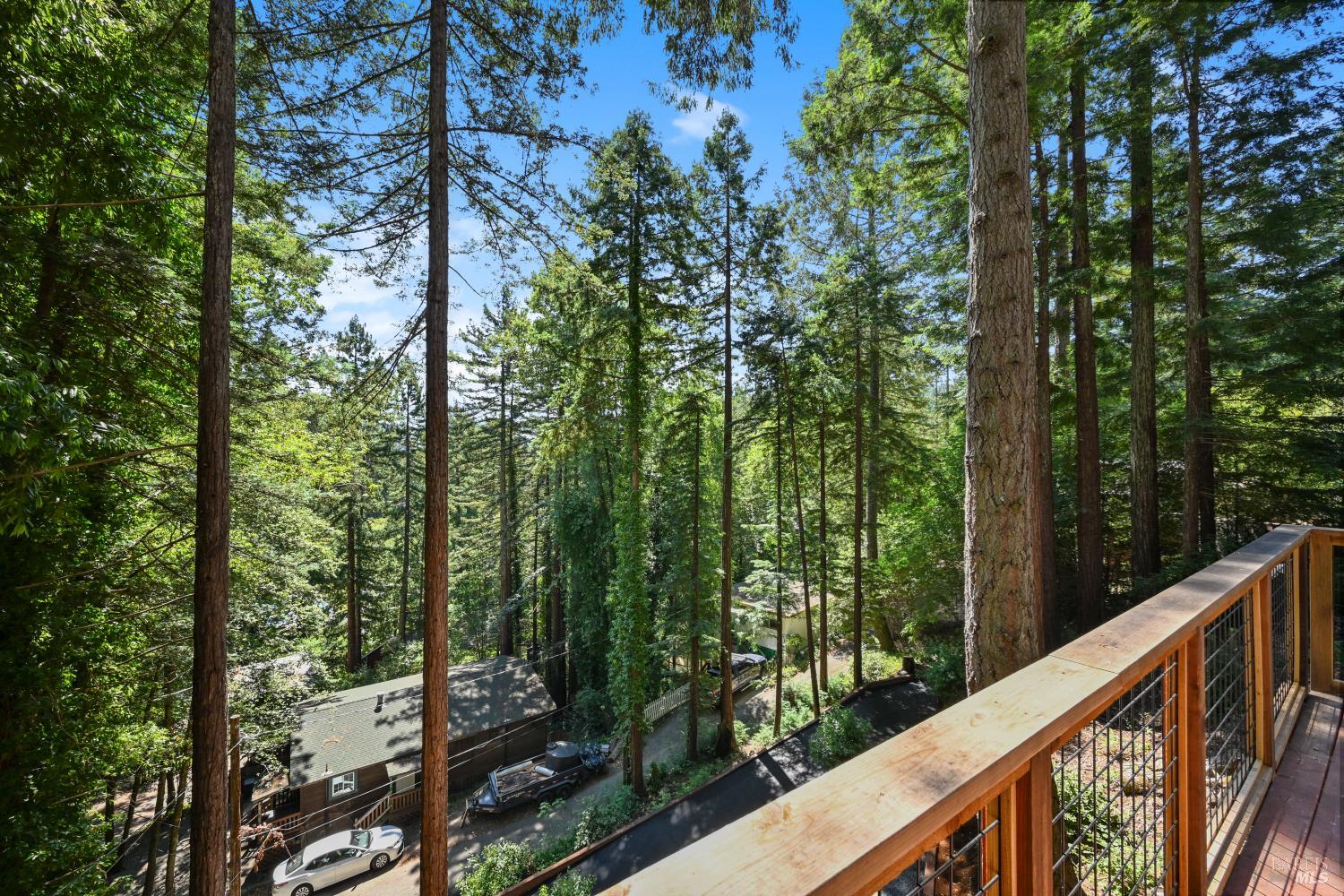 Detail Gallery Image 19 of 67 For 14150 Fern Rd, Guerneville,  CA 95446 - 3 Beds | 2/1 Baths