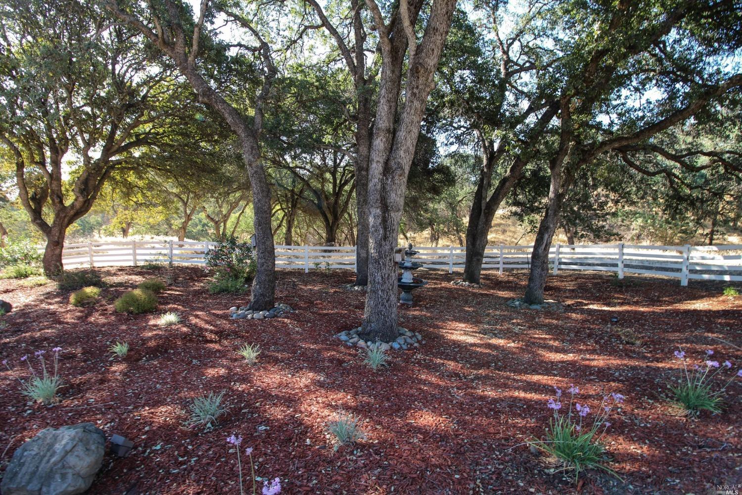 Detail Gallery Image 25 of 94 For 4150 Shelly Ln, Vacaville,  CA 95688 - 6 Beds | 4 Baths