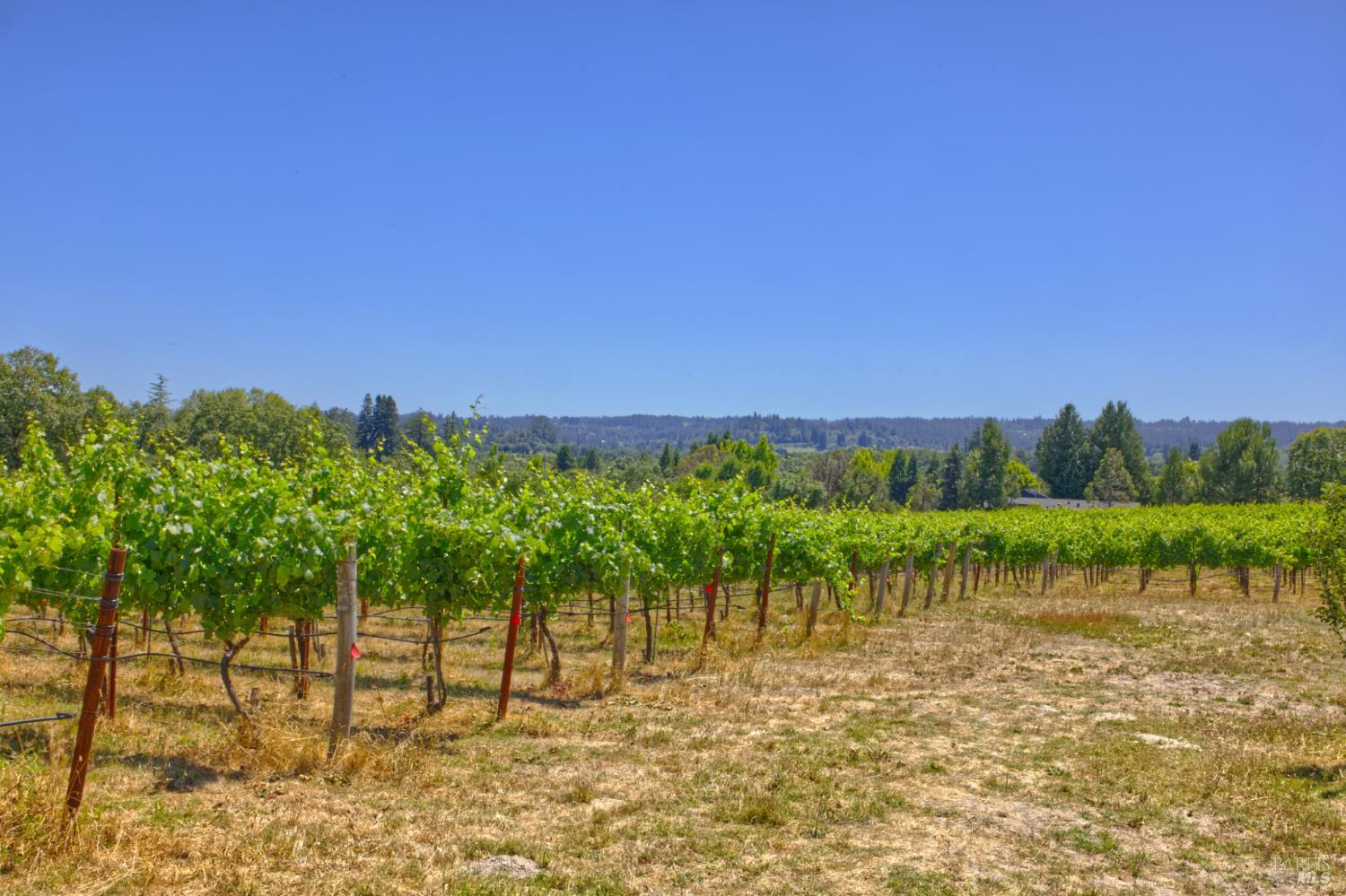 Detail Gallery Image 8 of 25 For 5200 116 N Hwy, Sebastopol,  CA 95472 - – Beds | – Baths