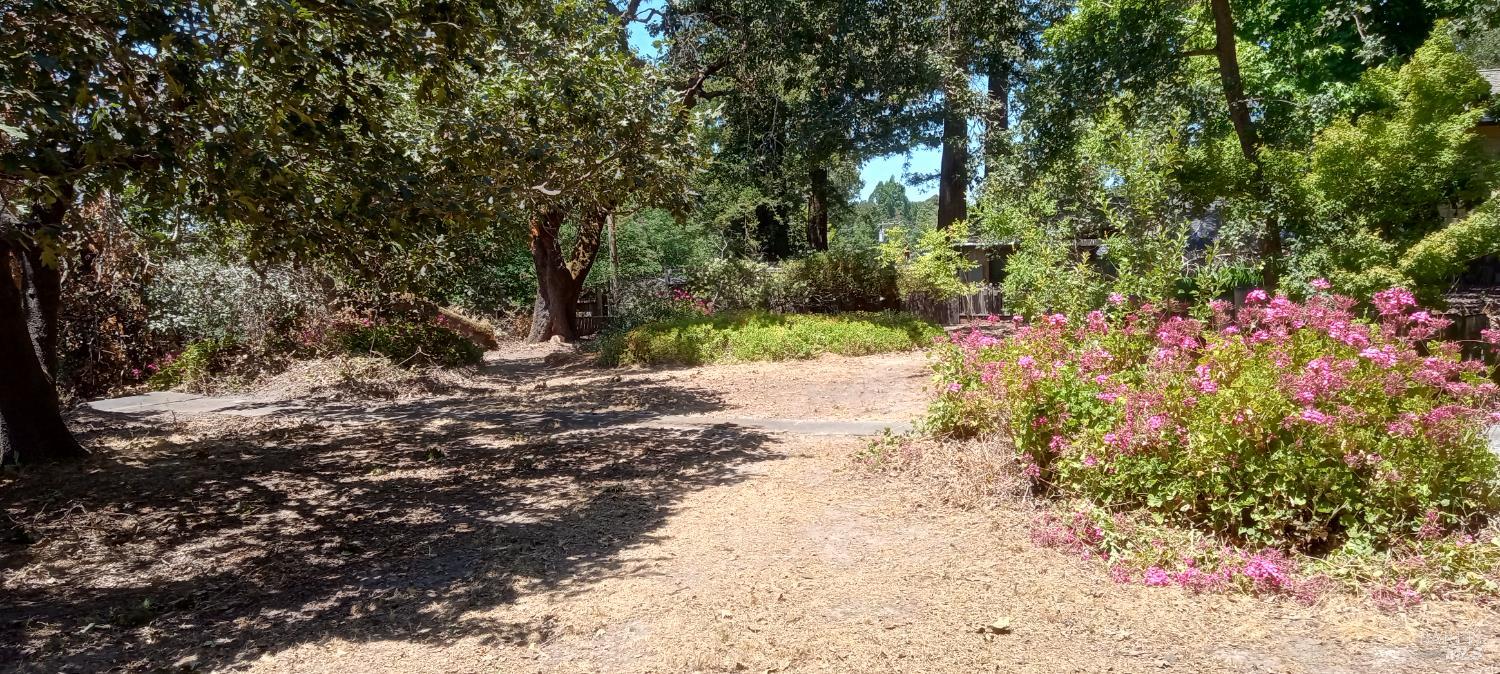Detail Gallery Image 21 of 38 For 9989 Oak St, Penngrove,  CA 94951 - – Beds | – Baths