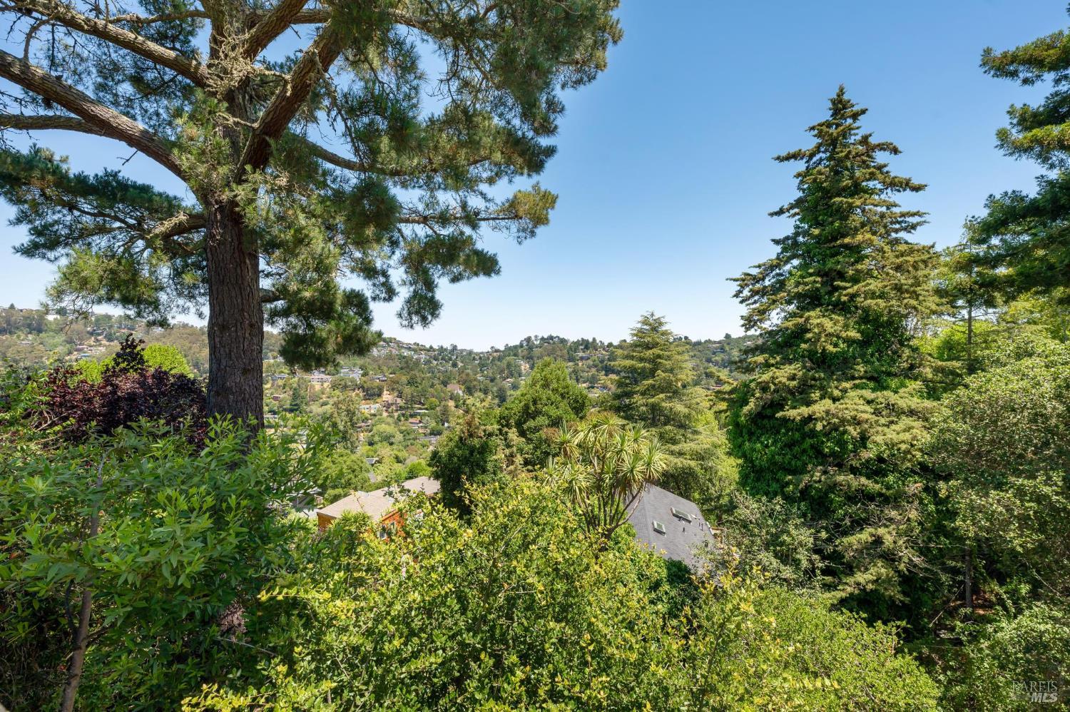 Detail Gallery Image 29 of 35 For 715 Alta Vista Rd, Mill Valley,  CA 94941 - 2 Beds | 1 Baths