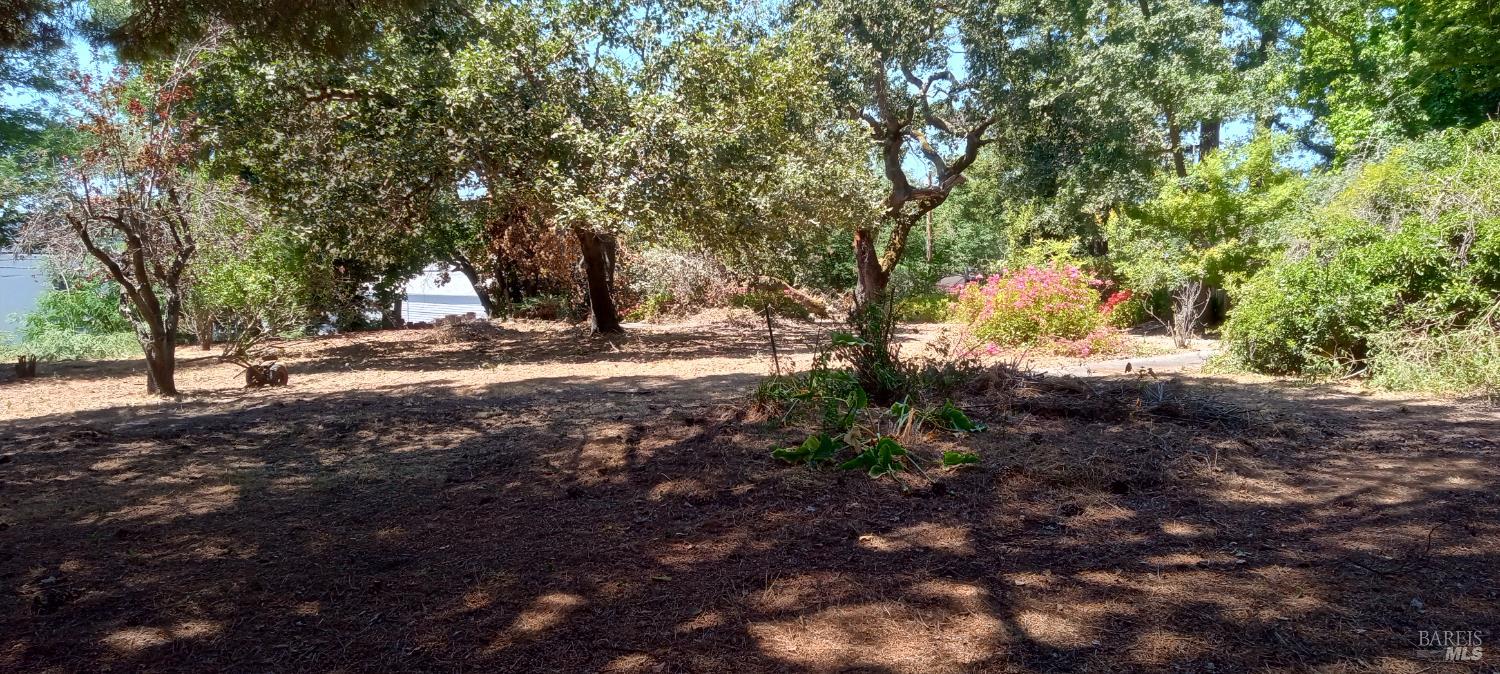 Detail Gallery Image 24 of 38 For 9989 Oak St, Penngrove,  CA 94951 - – Beds | – Baths