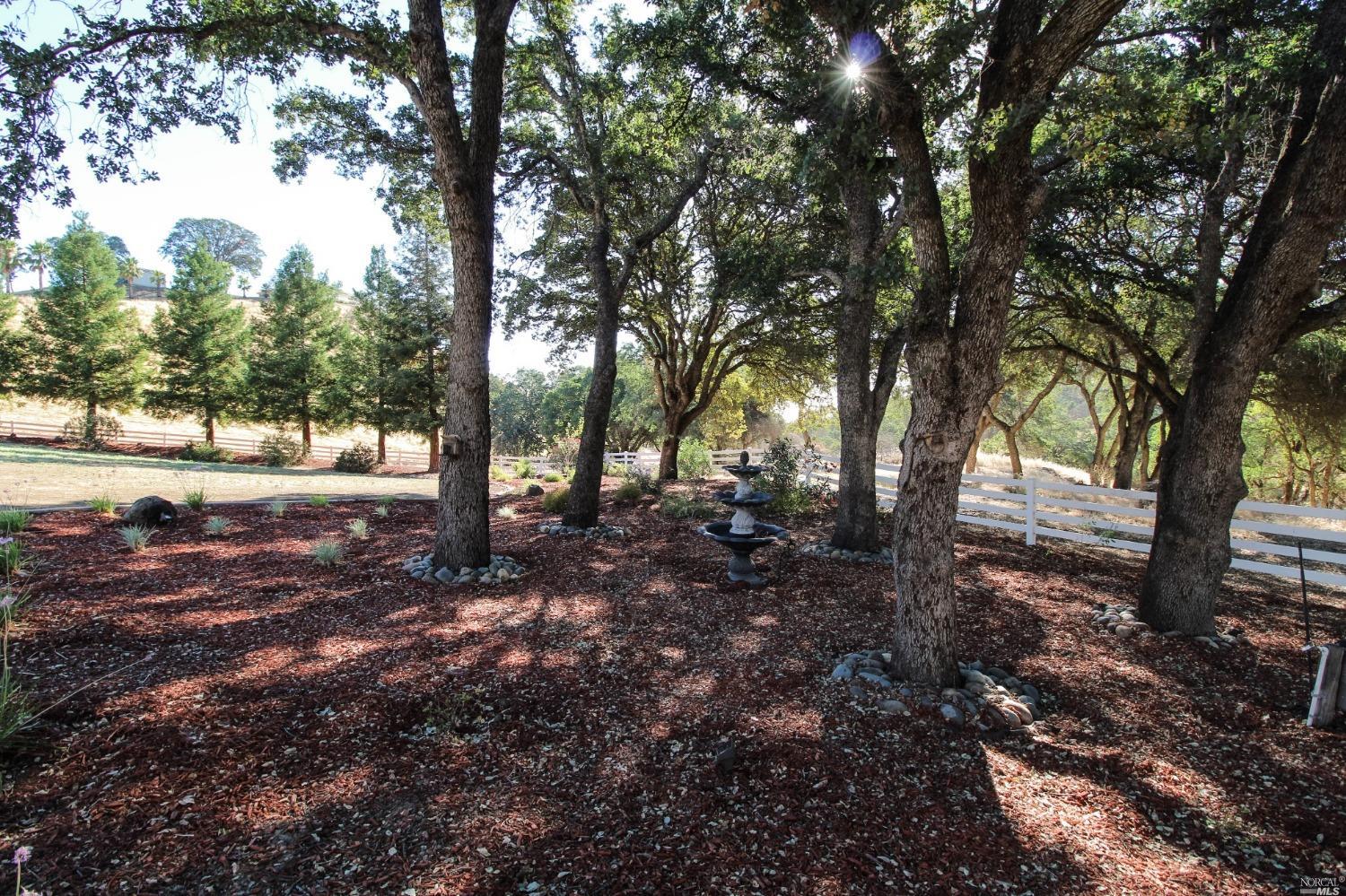 Detail Gallery Image 23 of 94 For 4150 Shelly Ln, Vacaville,  CA 95688 - 6 Beds | 4 Baths