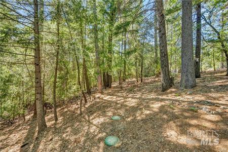 Detail Gallery Image 23 of 26 For 16635 Mountain View Dr, Cobb,  CA 95426 - 3 Beds | 1 Baths
