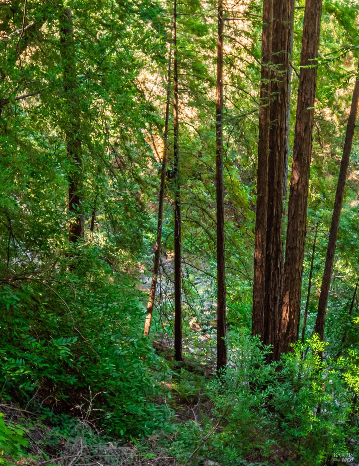 Detail Gallery Image 10 of 34 For 4516 Dry Creek Rd, Napa,  CA 94558 - 2 Beds | 2 Baths