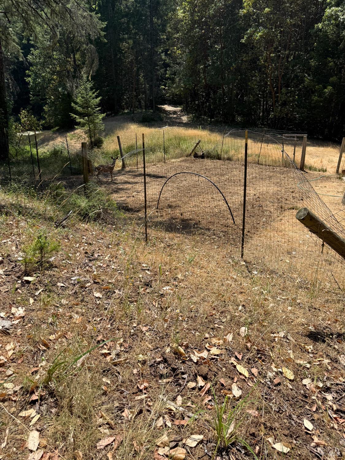Detail Gallery Image 26 of 31 For 31300 Sherwood Rd, Willits,  CA 95490 - 4 Beds | 3 Baths