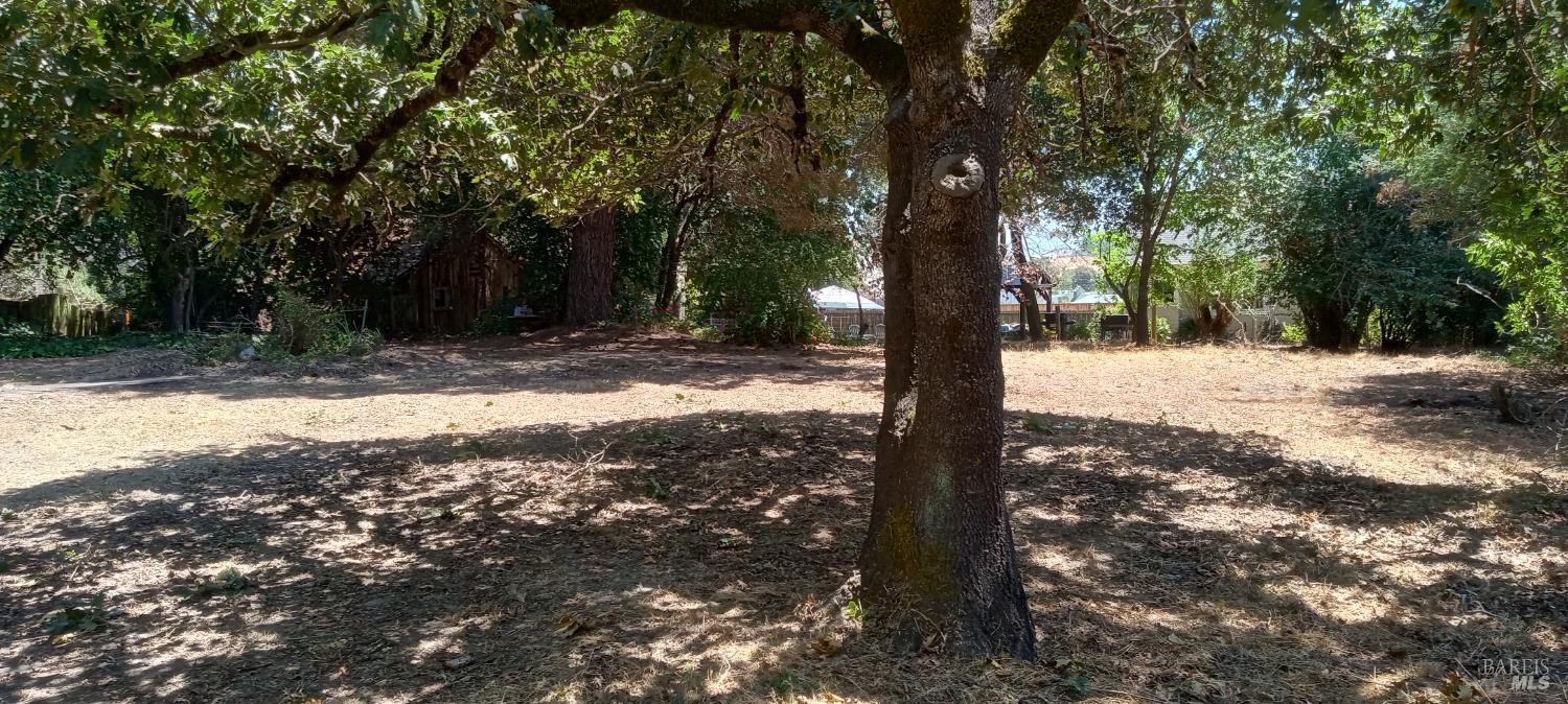 Detail Gallery Image 8 of 38 For 9989 Oak St, Penngrove,  CA 94951 - – Beds | – Baths