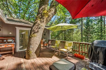 Detail Gallery Image 14 of 26 For 16635 Mountain View Dr, Cobb,  CA 95426 - 3 Beds | 1 Baths