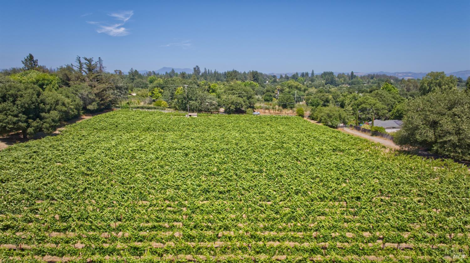 Detail Gallery Image 23 of 25 For 5200 116 N Hwy, Sebastopol,  CA 95472 - – Beds | – Baths