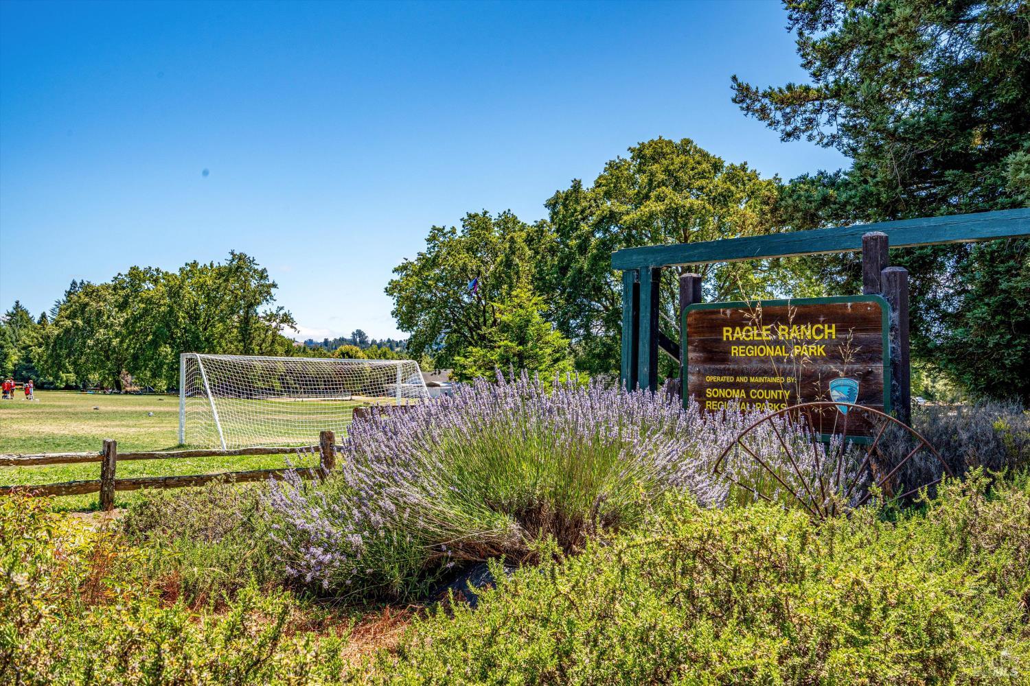 Detail Gallery Image 54 of 57 For 207 May Ct, Sebastopol,  CA 95472 - 4 Beds | 2 Baths