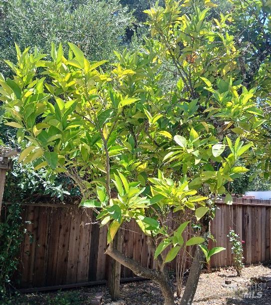 Detail Gallery Image 23 of 32 For 1103 Mitzi Dr, Calistoga,  CA 94515 - 3 Beds | 2 Baths