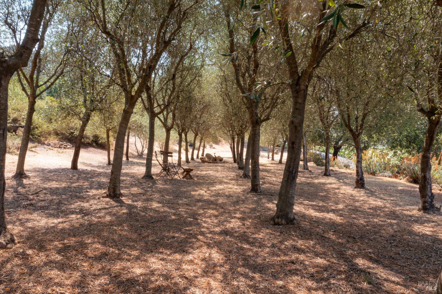 Detail Gallery Image 81 of 99 For 5925 Crystal Dr, Santa Rosa,  CA 95404 - 4 Beds | 4/1 Baths