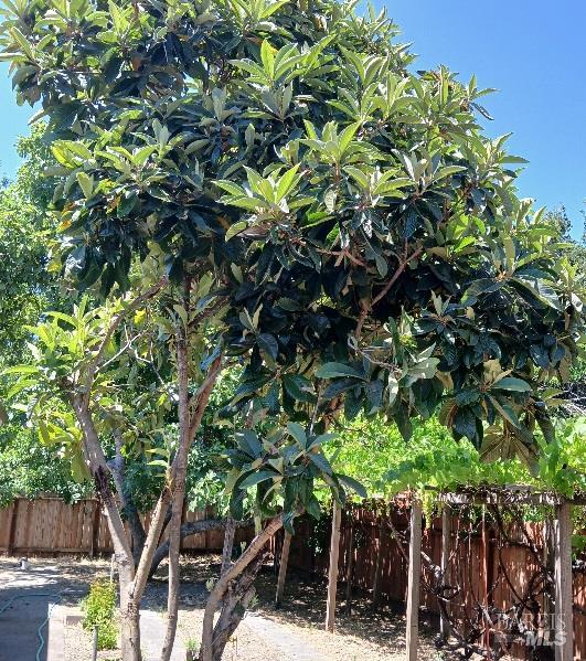 Detail Gallery Image 24 of 32 For 1103 Mitzi Dr, Calistoga,  CA 94515 - 3 Beds | 2 Baths