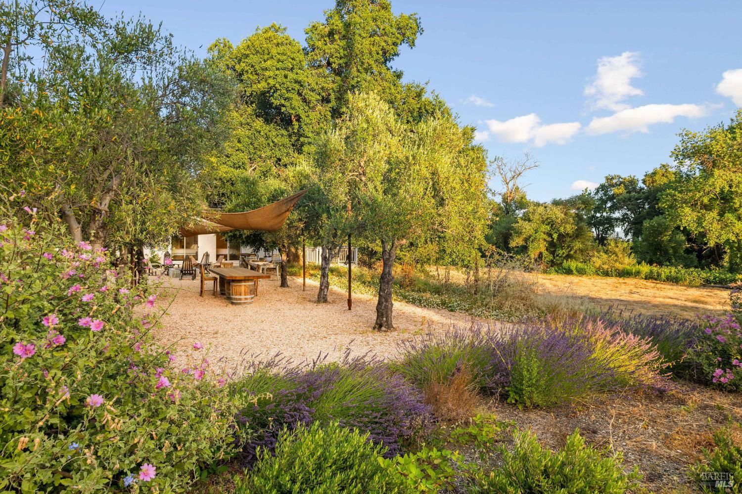 Detail Gallery Image 18 of 26 For 691 Silverado Trl, Saint Helena,  CA 94574 - 2 Beds | 2 Baths
