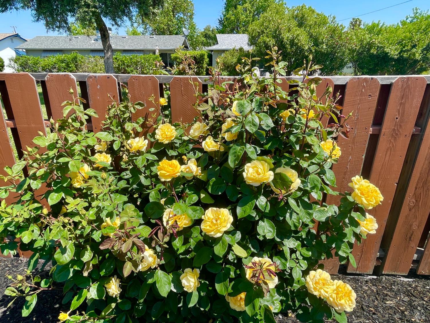 Detail Gallery Image 29 of 30 For 103 Olympic Cir, Vacaville,  CA 95687 - 2 Beds | 2 Baths